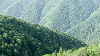 Вековните букови гори на резерватите в Национален парк Централен Балкан