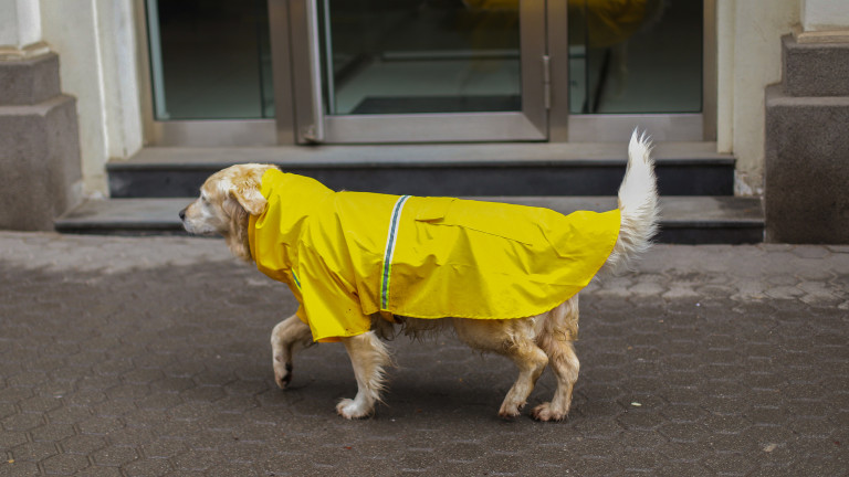 Снимка: Жълт код за проливен дъжд по Черноморието и Източните Родопи