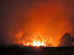Увеличават се умишлените пожари в земеделски земи