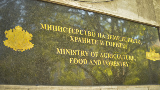МЗХГ състави 124 акта нарушение на Закона за горите