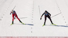 Куче или вълк - животното, което се включи в Зимните олимпийски игри 2026