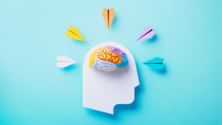 Особено в студените месеци все по често говорим за вредата от мръсния