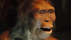 Ходил ли е първият човек изправен още преди 3.2 милиона години