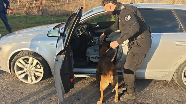 Изображение 753279