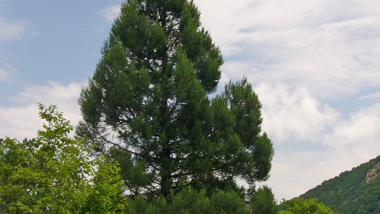 Изображение 473679