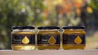 Пчелар: През последните месеци забелязвам 350% оскъпяване на меда от производителя до щанда