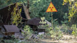 Жабите в Чернобил и как и защо са променили цвета си
