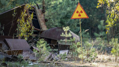 Още едно от "чудесата" на Чернобил