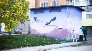 ЧЕЗ Разпределение България монтира 636 платформи за щъркелови гнезда в