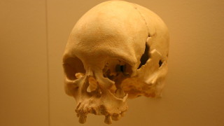 Череп на 11 000 г. е оцелял след пожара в бразилския Национален музей