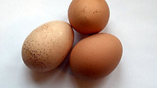 Разясняват произхода на яйцата в търговската мрежа 