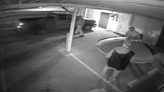 СДС предлагат паник бутони и общественополезен труд срещу битовата престъпност