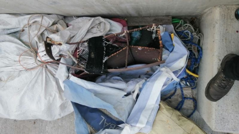 Изображение 596079