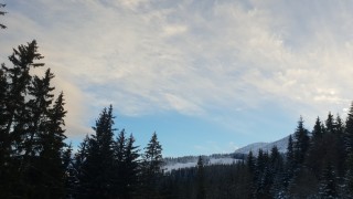 Меко, почти тихо време, на места с мъгли