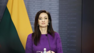 Военният дрон който вчера се разби в Литва е дошъл