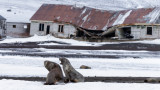 Дисепшън - антарктическият остров, изоставен в руини