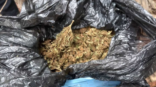 Голямо количество марихуана е открито в служебен бус на Драматичния