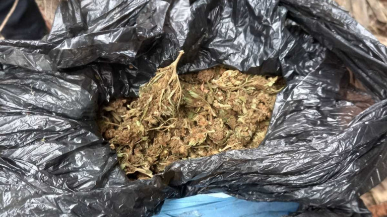 Изображение 726779