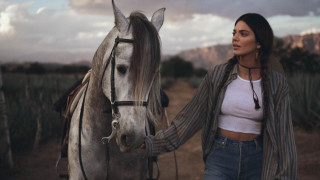 Притежаването на кон винаги е било скъпо хоби В това