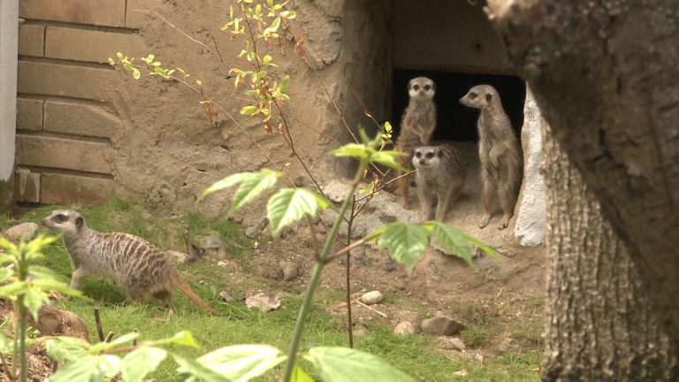 Изображение 357379