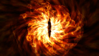 Пеперудата, кръстена на герой от "Властелинът на пръстените"