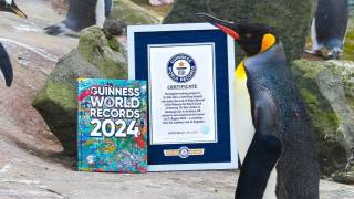 Дори малките деца знаят че за да се издигнеш в