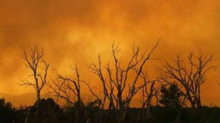 Пожарите в Аризона прогониха хиляди 