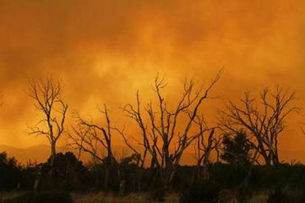 Затвориха национален парк в Чили заради пожари