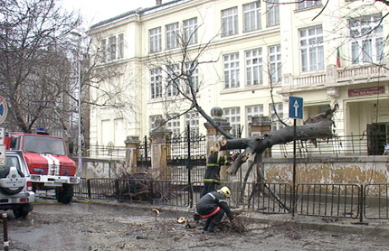 27 паднали дървета са отстранили аварийните екипи в София