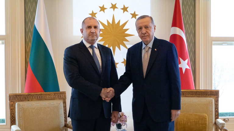 Изображение 598879