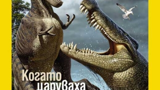 Мумифицирани животни