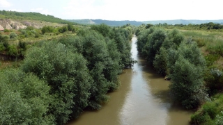 Прокуратурата разследва сигнал за замърсяване на река Осъм в района