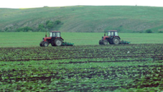 ДФ "Земеделие" е изплатил 1,25 млрд. лева по схемите  за директни плащания през  2012 г.