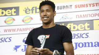 Чаплите са средни и едри по размери птици Имат дълги