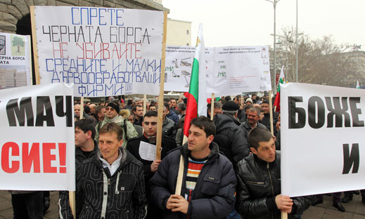 Спрете черната борса, настояват преработватели на дървесина
