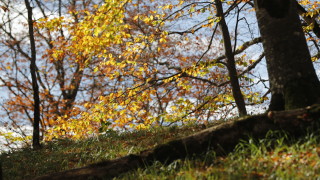 Днес ще бъде предимно слънчево В сутрешните часове на места