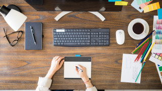 През 2024 г се запазва тенденцията да се увеличава броят