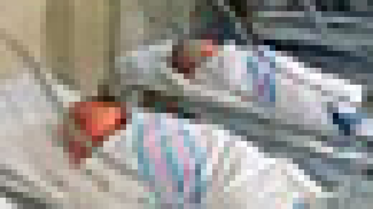 Изображение 2680