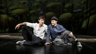 Вино от глухарчета вероятно извиква у мнозина спомена за романа