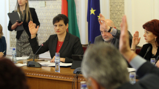 Шефката на здравната комисия в НС брани задължителните ваксини 