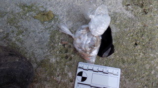 В град Варна е проведена полицейска операция по линия противодействие