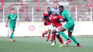 ЦСКА записа мач №30 за Купата на България при Гриша