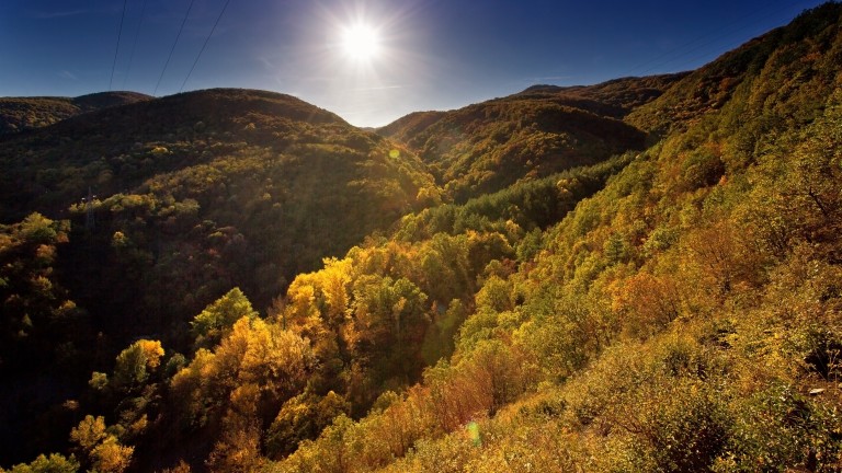 Изображение 473680