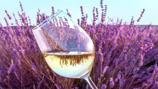 Малкият български град, който привлича туристи от Израел