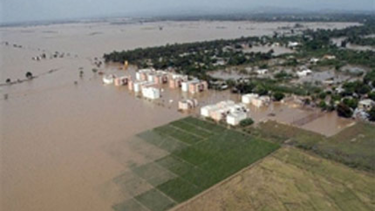 Изображение 33880