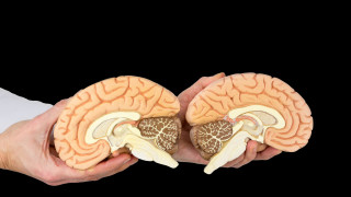 При изключително тежки форми на епилепсия за които няма лечение