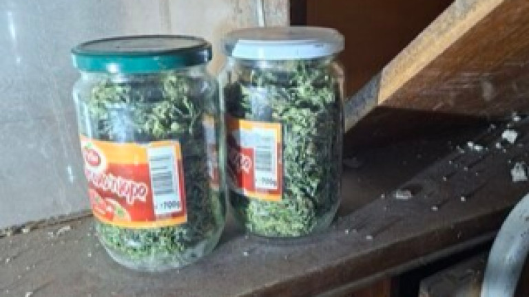 Изображение 743880