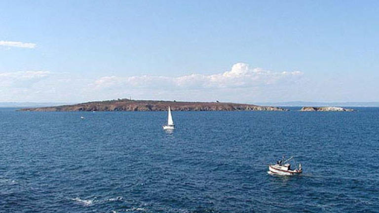 Изображение 24080