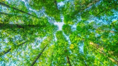 По-топъл дом, по-чист въздух: започва нова мащабна инициатива за смяна на старите печки в столицата