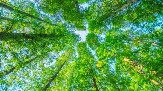 По-топъл дом, по-чист въздух: започва нова мащабна инициатива за смяна на старите печки в столицата